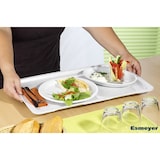 thumbnail of Gastronormbakken & Euronorm bakken Euronorm NL 1/1