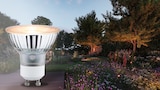 Eine Glühbirne beleuchtet einen Gartenweg.