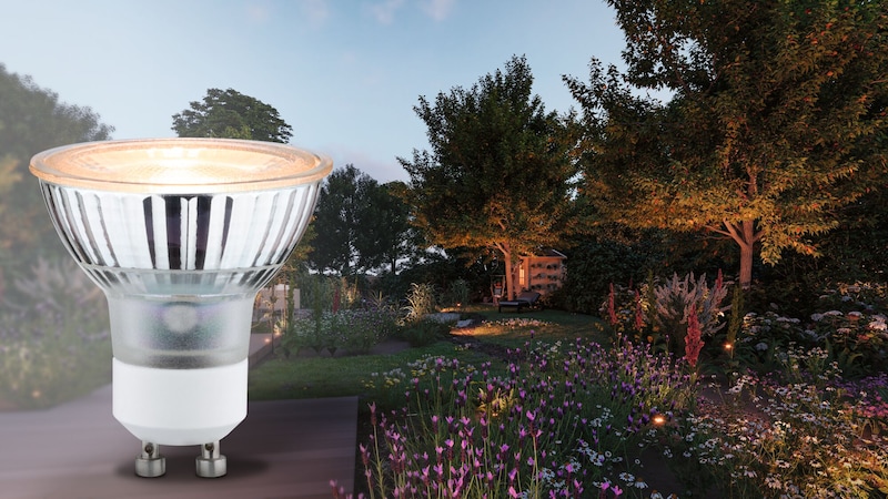 Eine Glühbirne beleuchtet einen Gartenweg.