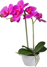 thumbnail of CREATIV green künstliche Pflanze Phalaenopsis, 33 cm, "Real Touch", 6er Set