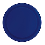 thumbnail of 16 grosse Teller dunkelblau