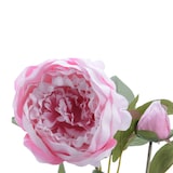 thumbnail of Pfingstrose mit 2 Blüten und Knospe am Stiel Kunstblume Päonie H: 75cm rosa