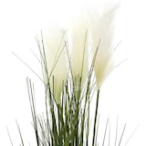 thumbnail of NATURN LIVING Grama artificial Grama dos pampas - ø 13 x 90 cm - Cortaderia Selloana - Planta artificial - Verde