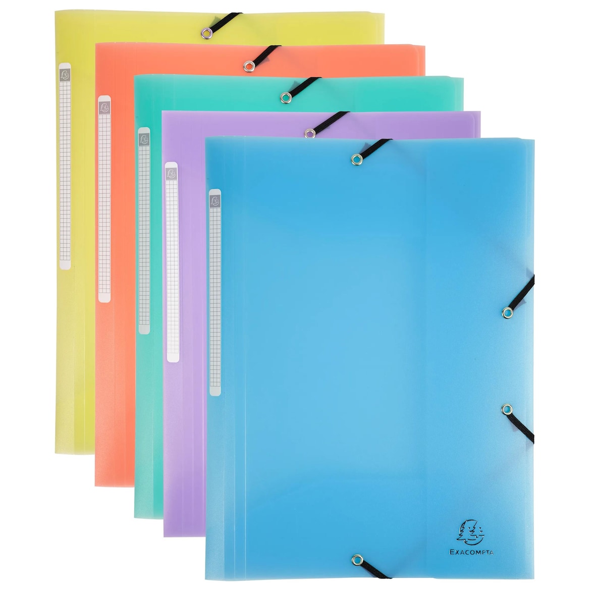 Exacompta - Réf. 55170E - Carton de 25 chemises à élastiques Chromaline pastel - en PP translucide - 24x32 cm pour format A4 - couleurs assorties