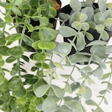 thumbnail of LIGNE DÉCO Plante succulente retombante artificielle 60cm lot de 2