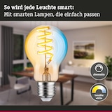 thumbnail of Paulmann Filament 230 V Smart Home Zigbee 3.0 Ampoule LED E27  600lm 7,5W Tunable White gradable Doré 29155