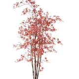 thumbnail of VERT ESPACE plante artificielle aralia (erable) uv resistant 180 cm