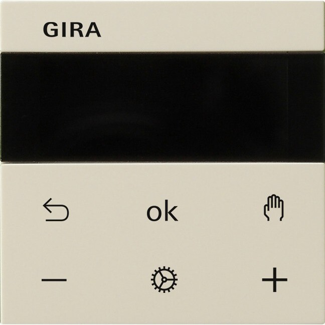 Gira RTR Display 539301