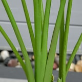 thumbnail of Árbol de Plátano Artificial 160 cm con Maceta y 10 Hojas Realistas Planta Tropical Sintética para Decoración en Interior y Exterior Oficina Hogar