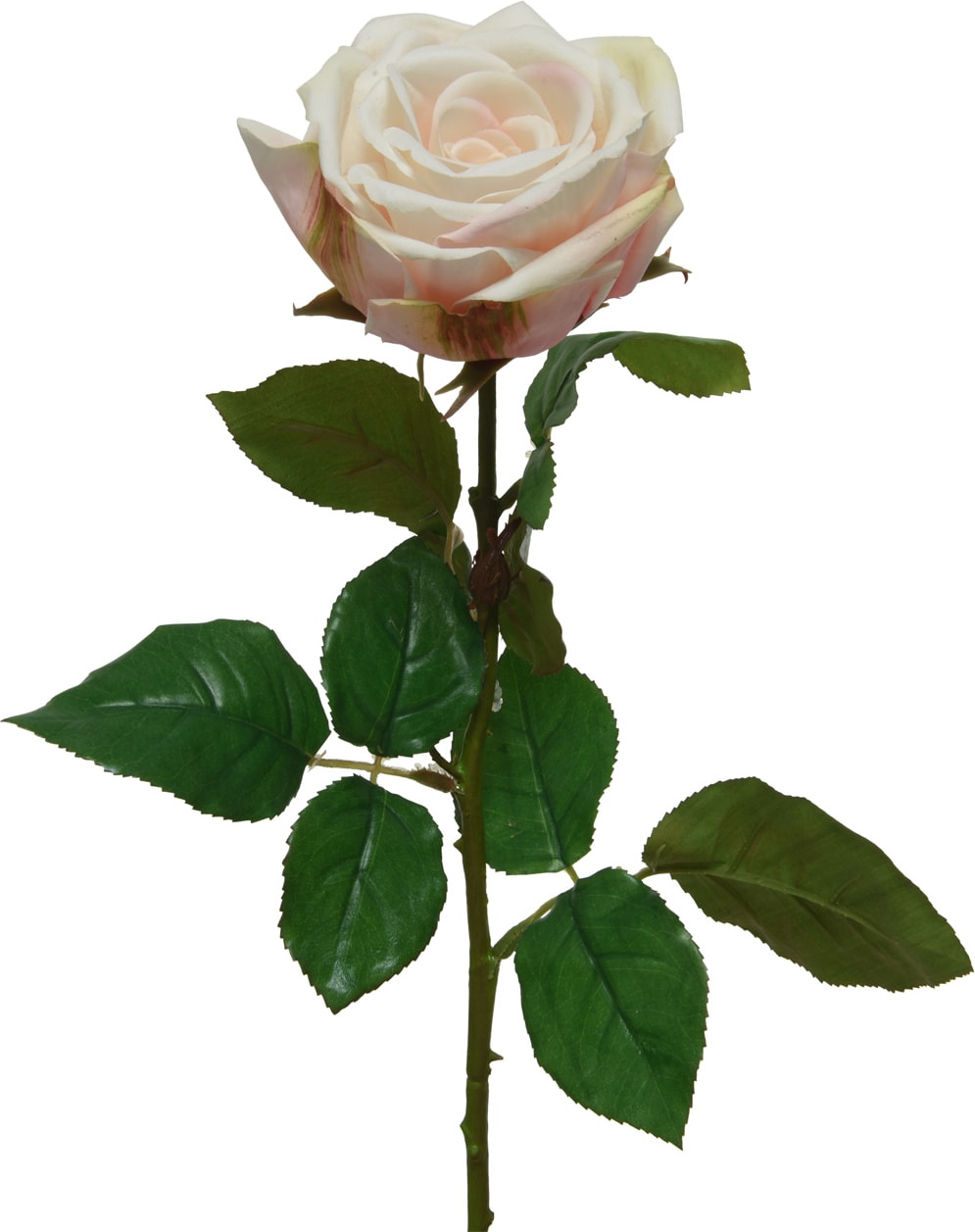 Rose am Stiel Kunstblume Rosenblüte künstliche Blume Real Touch H: 68cm creme