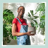 thumbnail of Relaxdays Tonkegel 15er Set, Vogel-Design, Wasserspender für Pflanzen, autom. Gießen, Ton & Kunststoff, Gießkegel, bunt