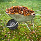 thumbnail of Relaxdays Schlauch 4.00-8, 4er Set, Ersatzschlauch, Schubkarre & Bollerwagen, Innenschlauch, Autoventil, Gummi, schwarz