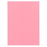 thumbnail of Exacompta - Réf. 850100E - Carton de 1000 sous-chemises SUPER 60 g/m2- dim 22 x 31 cm pour A4 - 5 couleurs