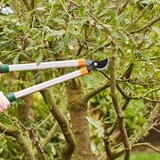 thumbnail of SIENA GARDEN CL2660  Bypass Astschere CL2660