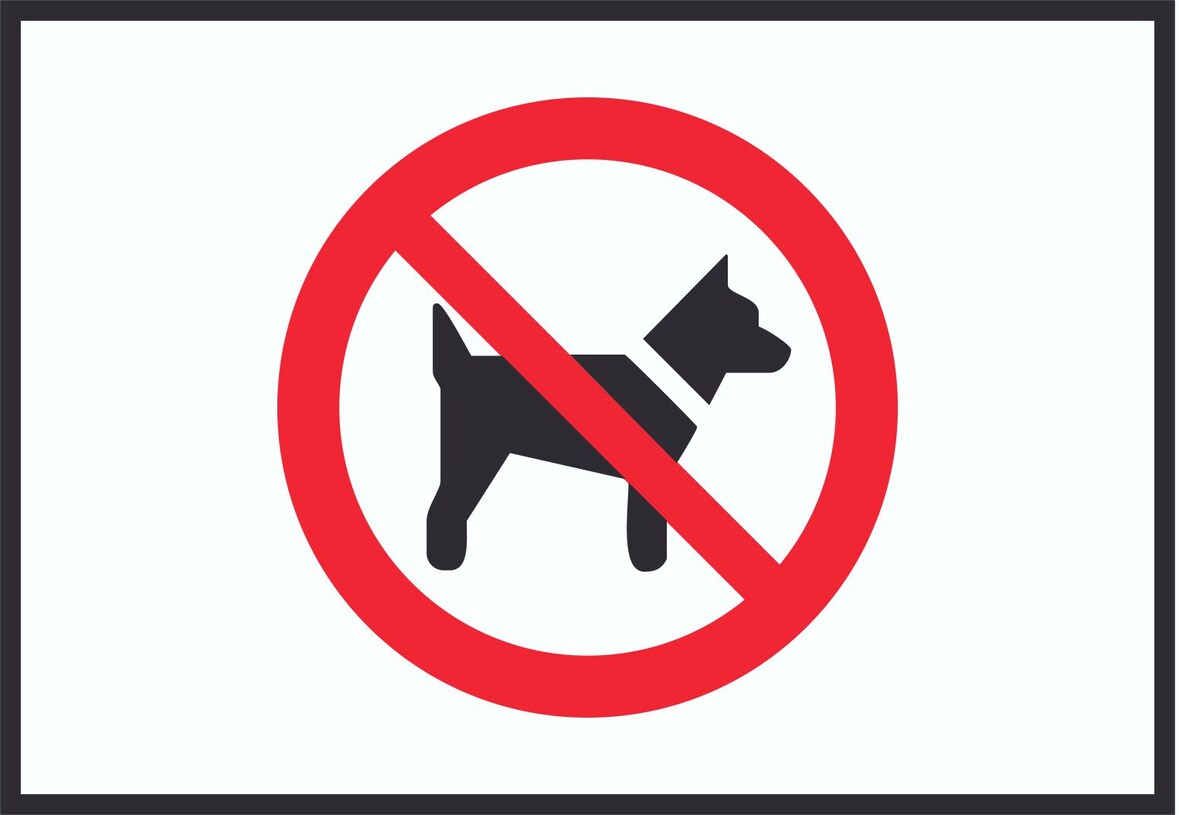 Mitführen von Hunden verboten Symbol Schild A0 (841x1189mm)