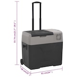 thumbnail of Nevera con ruedas y asa polipropileno negro y gris 50 L