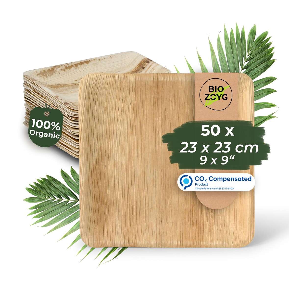 BIOZOYG 50 Stück Einwegteller 23x23cm Palmblatt-Teller, quadratisch, biologisch abbaubar, umweltfreundlich, kompostierbar, Wegwerfteller