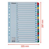 thumbnail of Esselte, Intercalaires A4 alphabétiques, 20 onglets, Multicolore, 100166