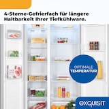 thumbnail of Exquisit Side-by-Side SBS546-040E inoxlook | No Frost | Nutzinhalt: 442 L | Temperaturregelung | Alarm