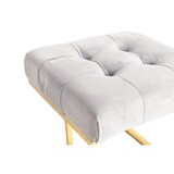 thumbnail of Hocker Zinnia 100 Taupe