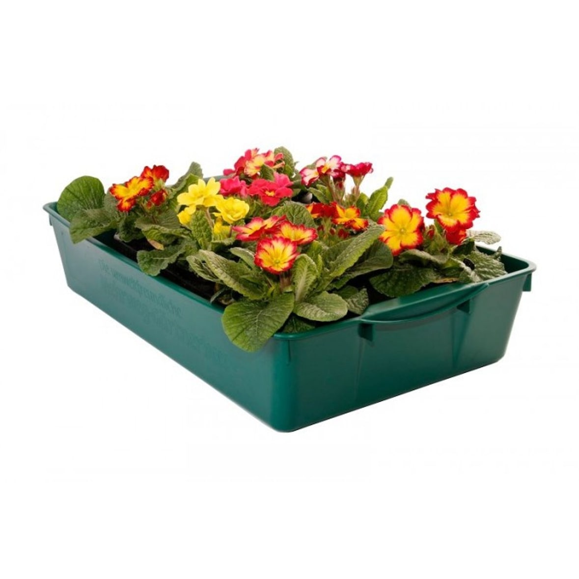 Universal Gärtnerbox Pflanzschale 58x32x11cm Anzuchttopf grün Pflanzwanne Blumenkaste