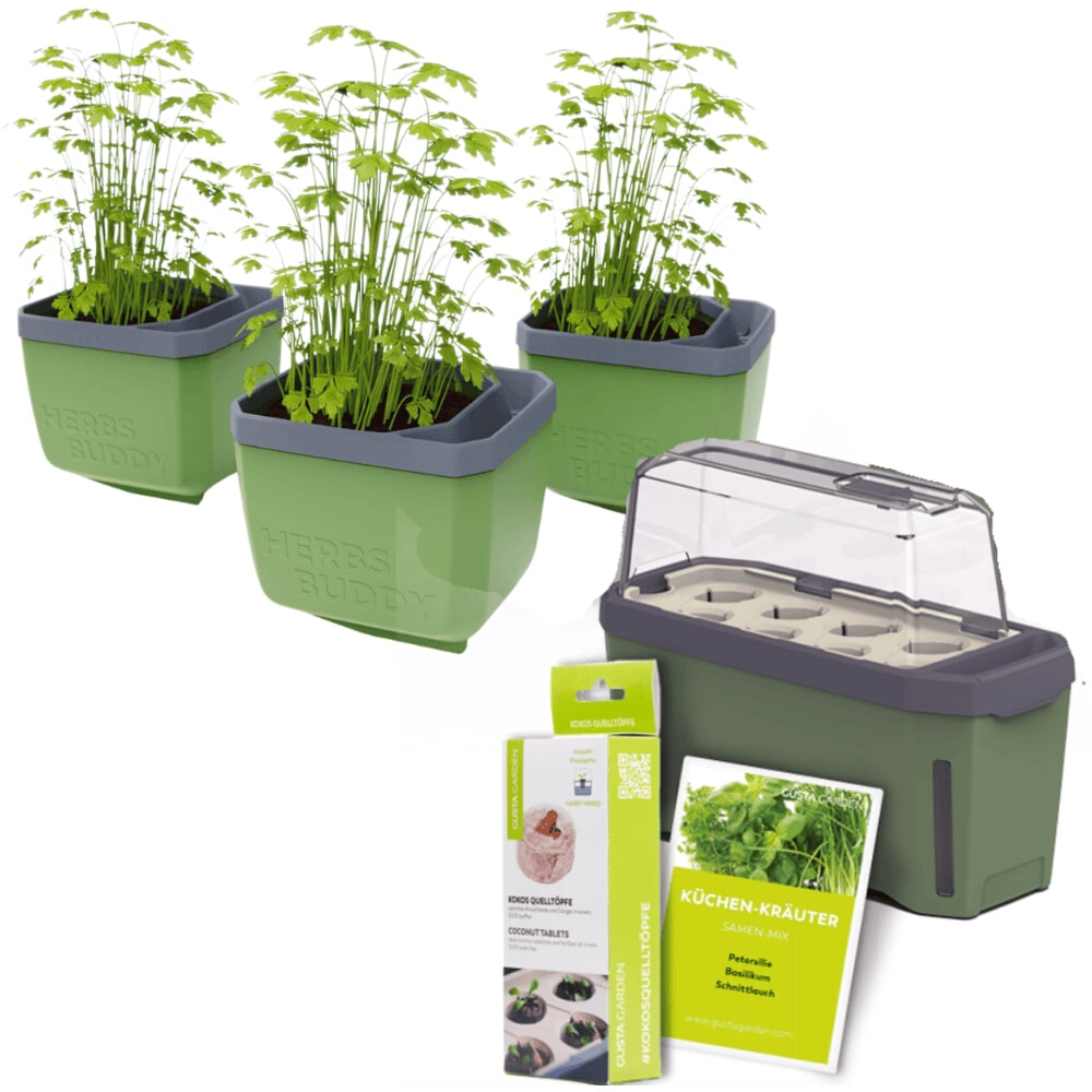 Gusta Garden Stadtkräutergarten-Set 6-teilig, dunkelgrün