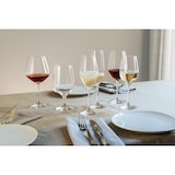 thumbnail of Schott Zwiesel Vina Champagneflûte met MP 77 - 0.26 Ltr - set van 6