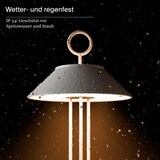 thumbnail of Nudiderot Akku-Tischleuchte 425mm kupferfarben