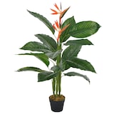 thumbnail of Planta artificial strelitzia con macetero rojo 100 cm