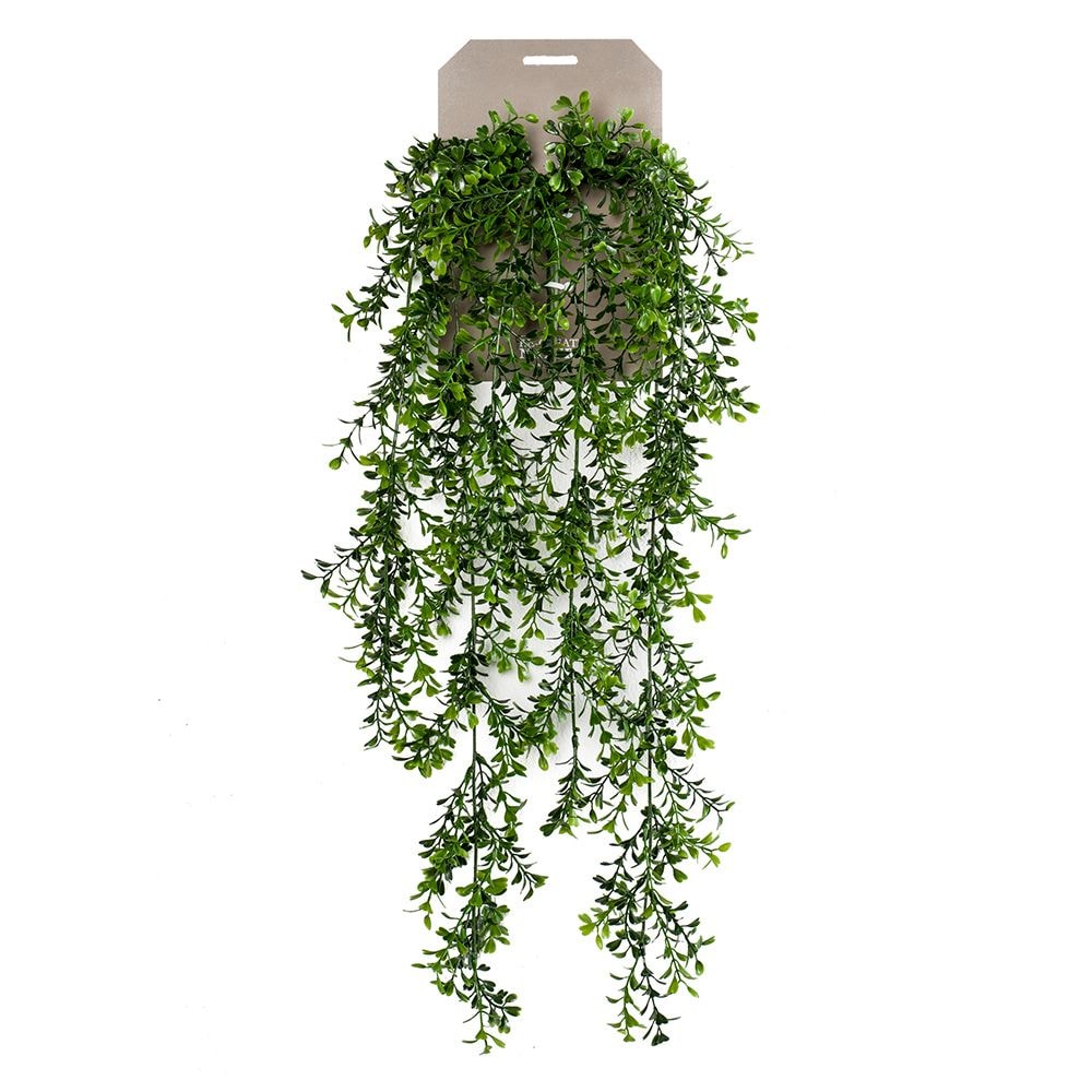 Planta colgante BOJ de 75 cm (6 unidades)