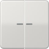 thumbnail of Jung Wippe Lichtleiter lgr CD 595 KO5BF LG CD595KO5BFLG