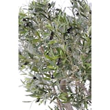 thumbnail of VERT ESPACE olivier geant 185 cm