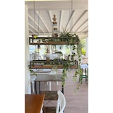 thumbnail of Prateleira FLOWERS suspensa no teto CASTANHO comprimento 95 cm com correntes para flores suporte de vidro vertical para jardim bar cozinha por Yelloo