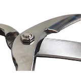 thumbnail of Westmark Fleischschere Geflügelschere mit Knochenbrecher aus Edelstahl