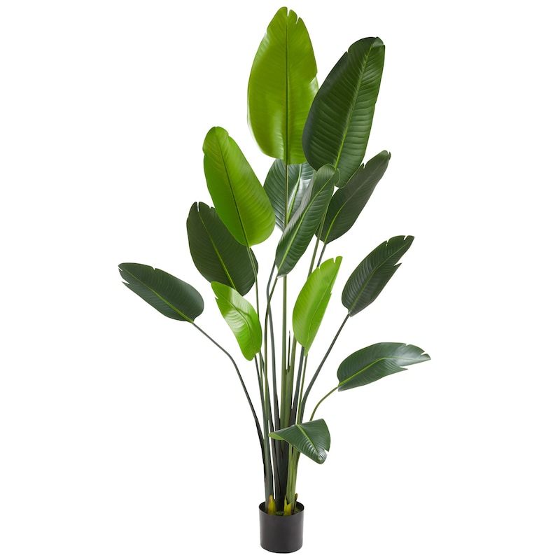 mobile_image