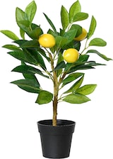 thumbnail of Künstlicher Zitronenbaum 43cm im Topf Kunstpflanze Zitronenbäumchen Topfpflanze Zitrone Frühlingsdeko Osterdeko Sommerdeko Zitruspflanze Gelb Grün