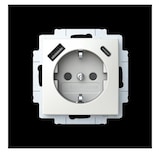 thumbnail of Busch-Jaeger Zentralscheibe rund 1794 R-44G 2CKA001710A4207