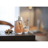 thumbnail of Zwiesel Glas Melody Longdrinkglas 79 - 0.499 Ltr - set van 6