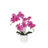 thumbnail of LIGNE DÉCO Orchidée artificielle fuchsia 50cm