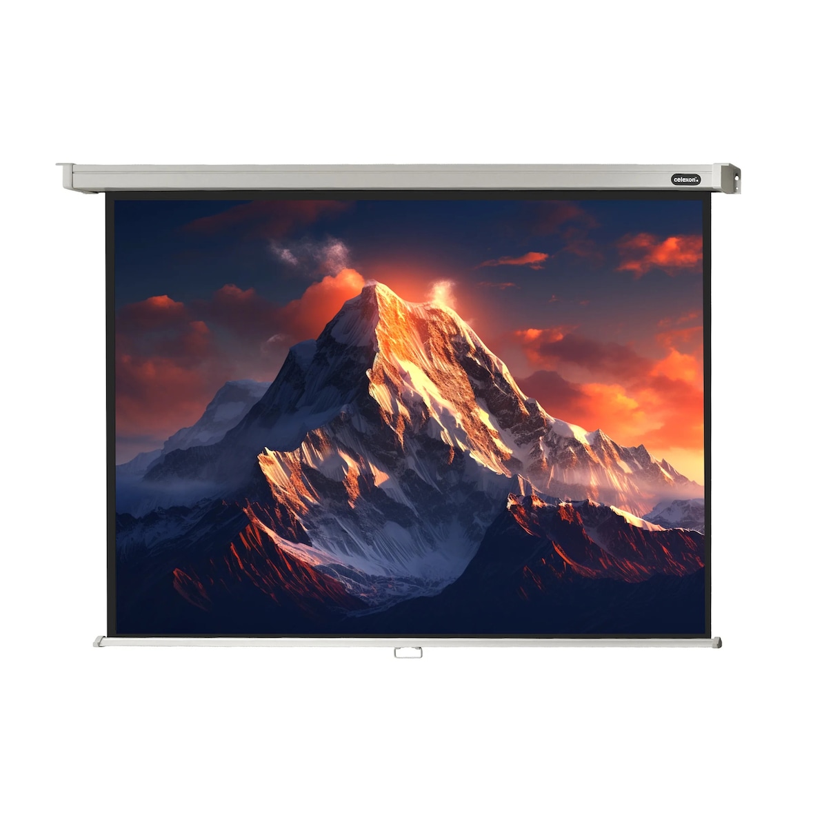 celexon Leinwand Rollo Professional 280 x 210 cm - 138`