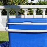 thumbnail of Nevera 42l azul campos.