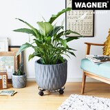 thumbnail of WAGNER Pflanzenroller BLACK EDITION Ø 30 x 6,5 cm, für innen, Stahl, schwarz, Randbegrenzung, Tragkraft 60 kg - 20093501