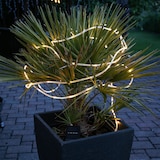 thumbnail of LED Solar Lichtschlauch 75 warmweiße LED inkl. Erdspieß Außenbereich L: 7,5m