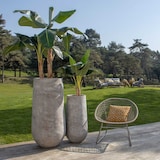 thumbnail of Now's Home - Set2 pots ronds en fibre d'argile taupe d40xht80 et d55xht110cm faro