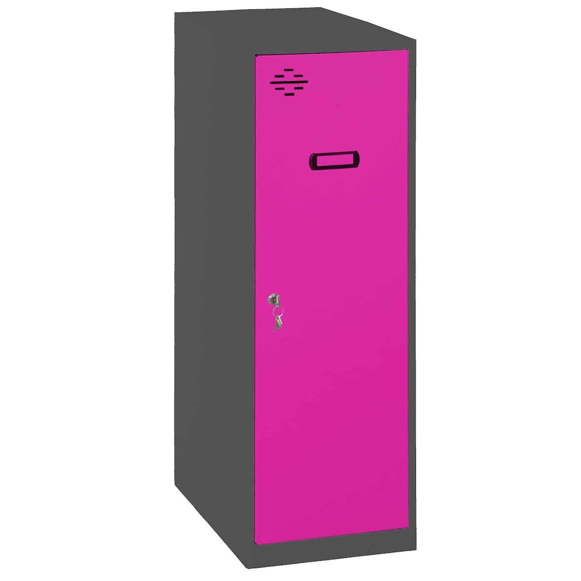Metallschrank Single mini zerlegt 1 Tür ANTHRACITE/ROSE 915x300x500 mm (Höhe x Länge x Breite)