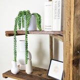 thumbnail of LIGNE DÉCO Plante succulente retombante artificielle 44cm
