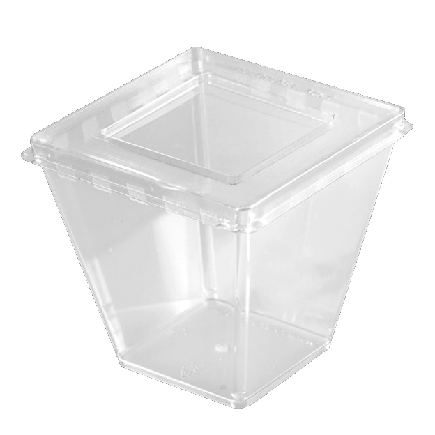 Mini-Verrine Carrée 210cc en PET avec couvercle par 216 pièces JORIDEAL
