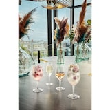 thumbnail of Chef & Sommelier Evidence Set 6 Copas Vidrio 35Cl