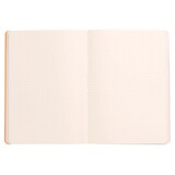 thumbnail of Rhodiarama Notizbuch A5 Softcover, 80 Blatt elfenbein 90g, dot/punktkariert, mit Gummizugverschluss - Bronze 117478C