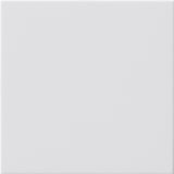 thumbnail of Gira Blindabdeckung rws 810803